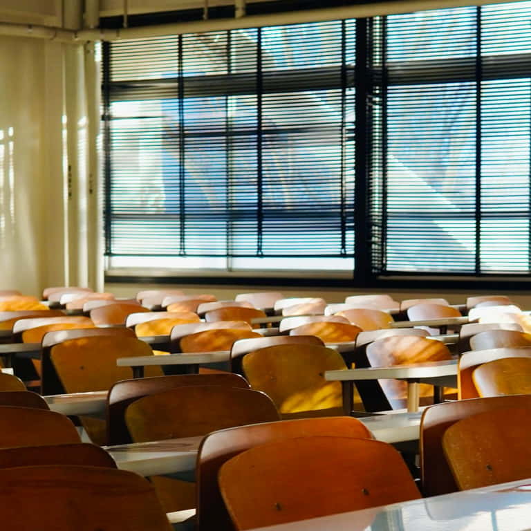 Nuevos cursos